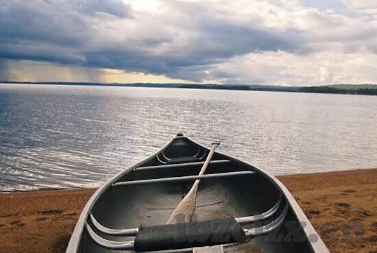 av无禁麻豆精品-麻豆精品，日新月异的AV无禁世界