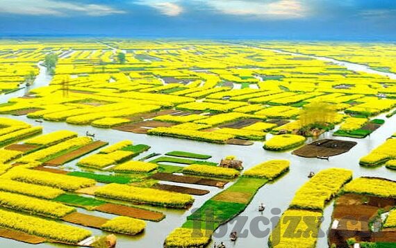 大象传媒免费版下载-免费版大象传媒下载，便捷获取优质内容的智慧选择