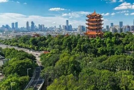 麻豆经济传媒直播app下载-汇聚创意新视界，麻豆经济传媒直播APP下载指南